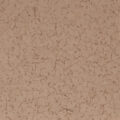 F5303 CAPPUCCINO 1 4