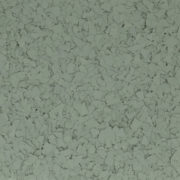 F6613 SAGE 1 4