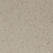 Fossil (F9911-104) - 1/4" Flake