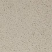 Fossil (F9911-108) - 1/8" Flake