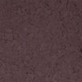 F9975 RAISIN 1 4