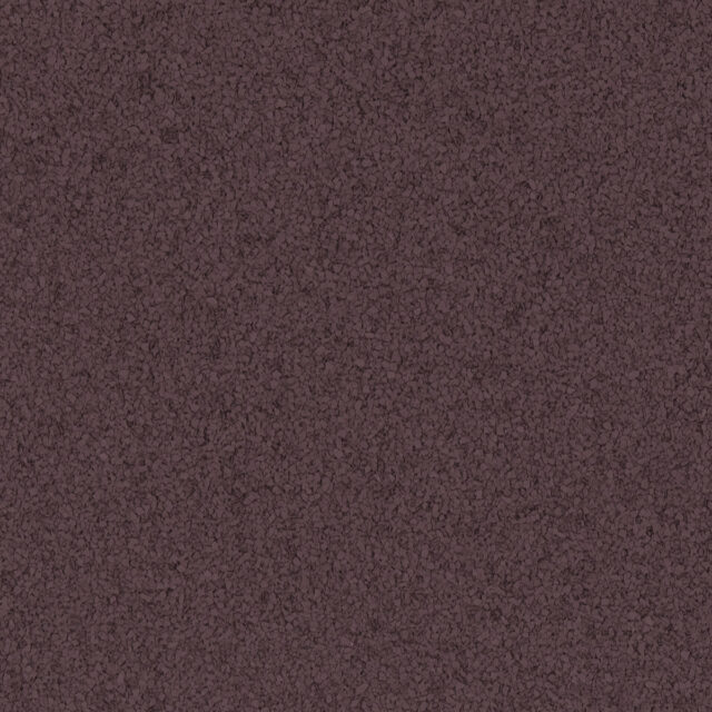 F9975 RAISIN 1 32