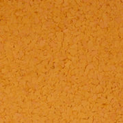 F9979 SQUASH 1 4