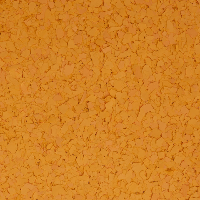 F9979 SQUASH 1 4