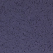 F9993 GRAPE 1 4