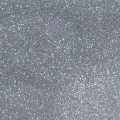 Silver (G6010) - Glitter