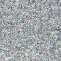 Holographic Silver (G2020-125) - Glitter