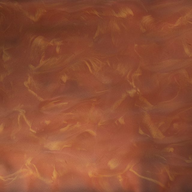 Starfish & Coral (PB-109) - Pigment