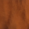 P1340 GINGER A