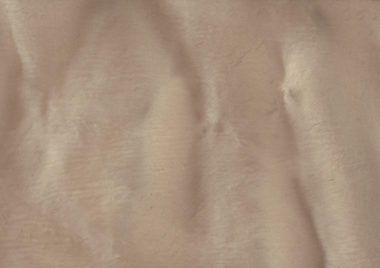 P1105 GUAVA A