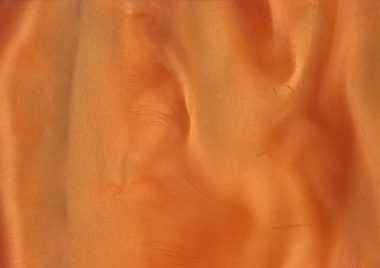 P1330 CORAL A