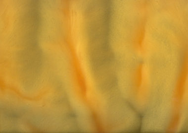 P1420 PAPAYA A