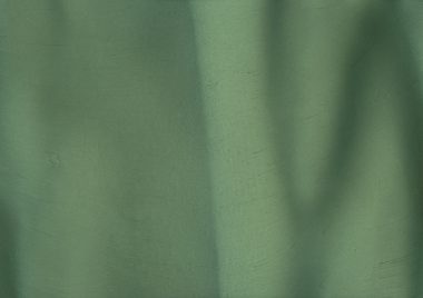 Seaweed (P1530-A) - Pigment