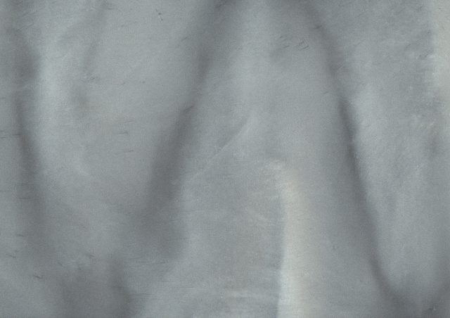 Dolphin (P1020-A) - Pigment