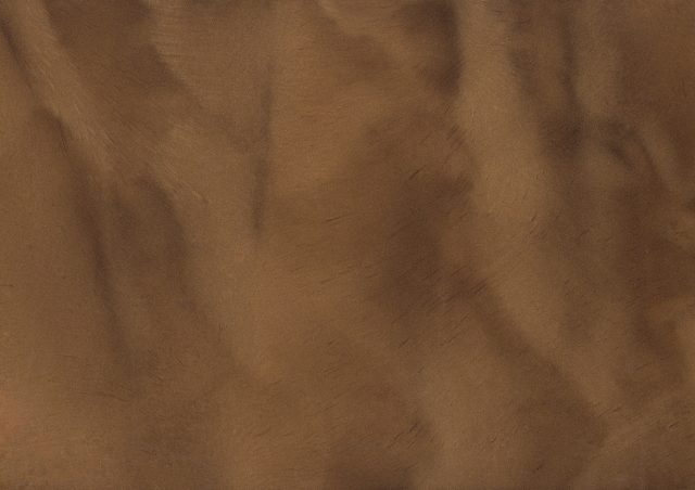 Sandal (P1170-A) - Pigment