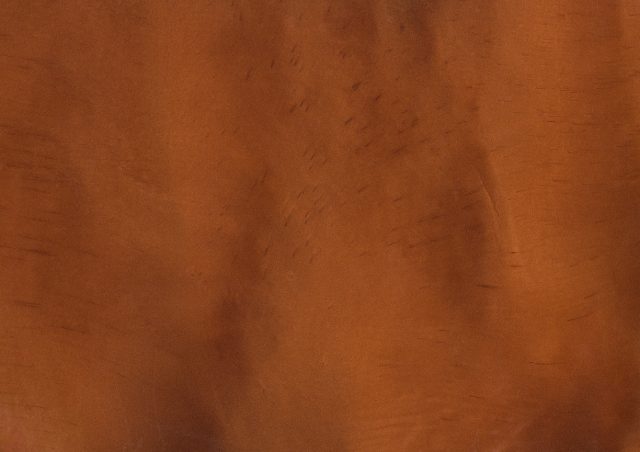 Ginger (P1340-A) - Pigment