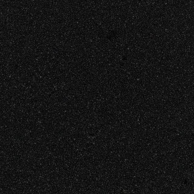 Black (Q1020-40S) - 40S Quartz