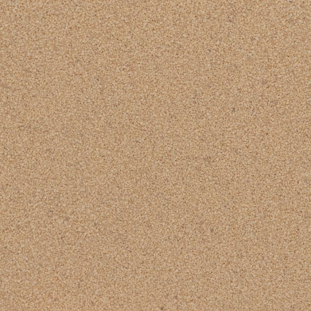 Beige (Q1220-40S) - 40S Quartz
