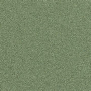 Q1440 LEMONGRASS 40 S