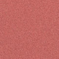 Q1640 APRICOT 25 A