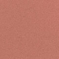 Q1640 APRICOT 40 S