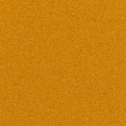 Q1720 MUSTARD 40 S