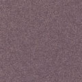 Q1810 PLUM 25 A