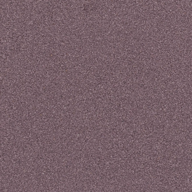 Q1810 PLUM 40 S
