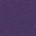 Q1820 LOGANBERRY 40 S