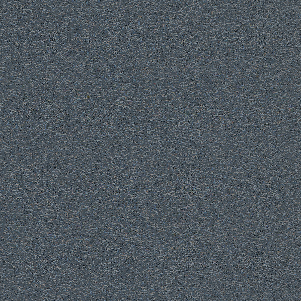 Texture Additives | Torginol®