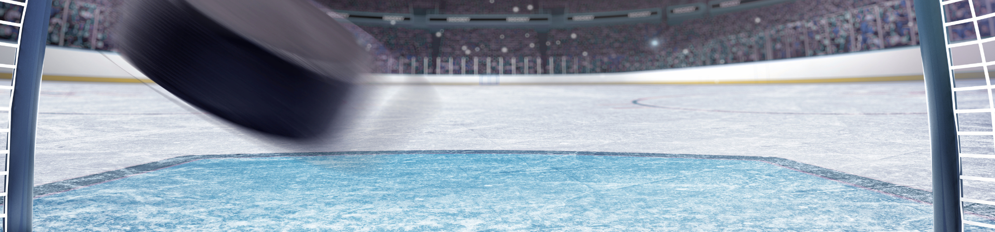 Hockey Net