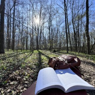 Sping Book Tel Hy 2025