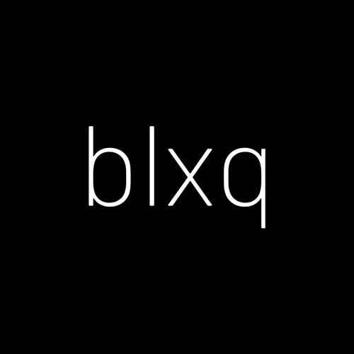 Blxq Invests logo