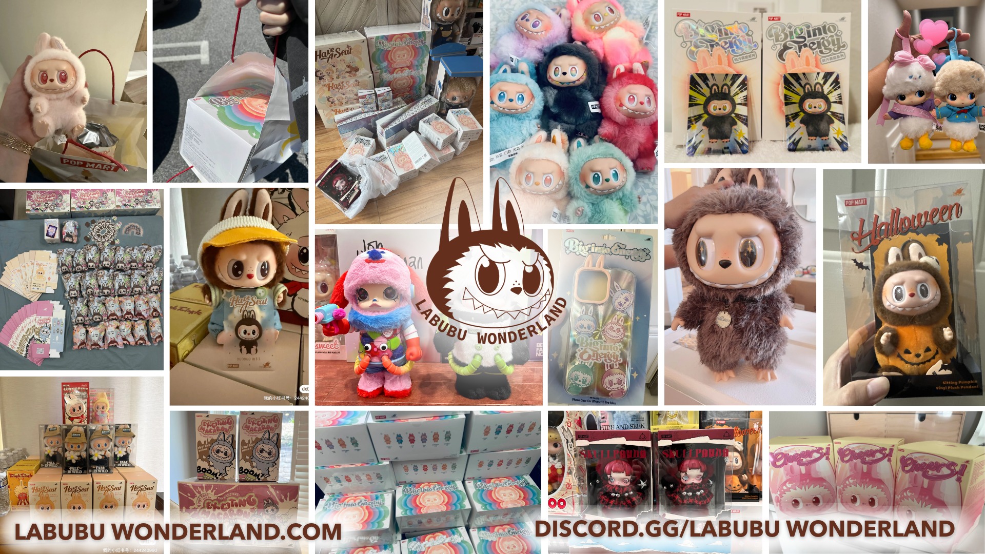 Pop Mart Labubu Wonderland