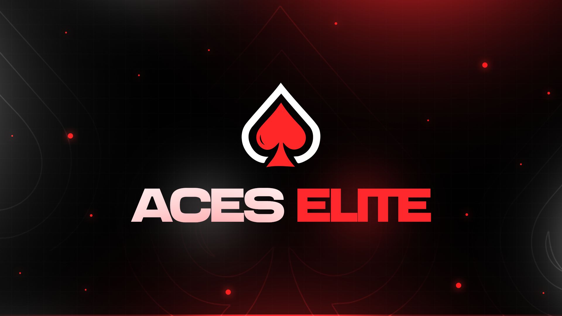 Aces Elite Mentorship Program