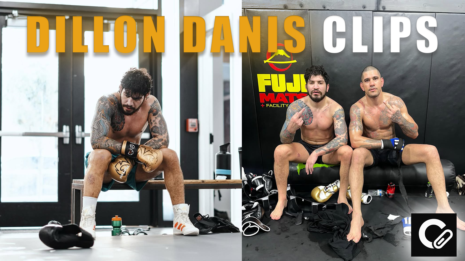 Dillon Danis clipping