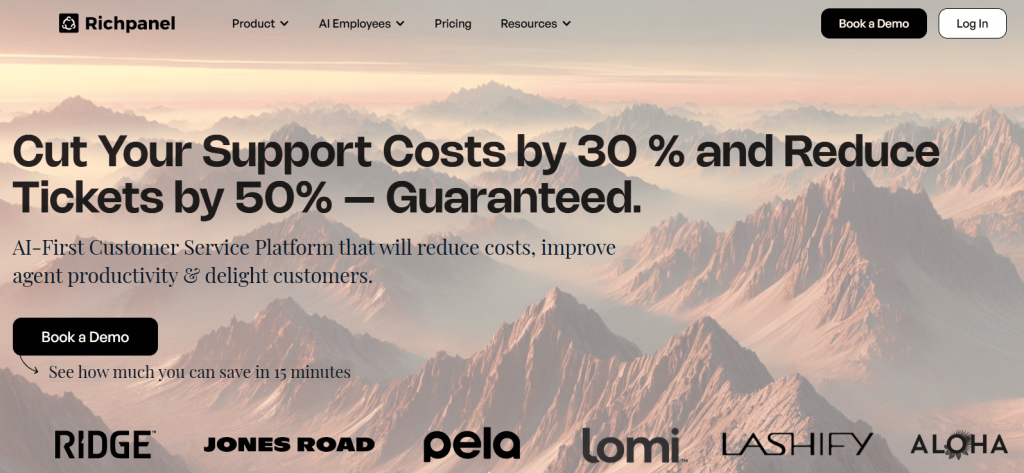 Richpanel home page