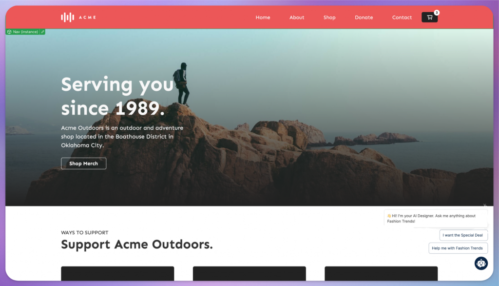 Embed the Script on Your Website