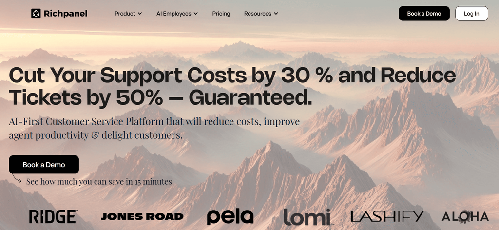 Richpanel home Page