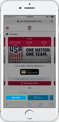 Ticket view screen