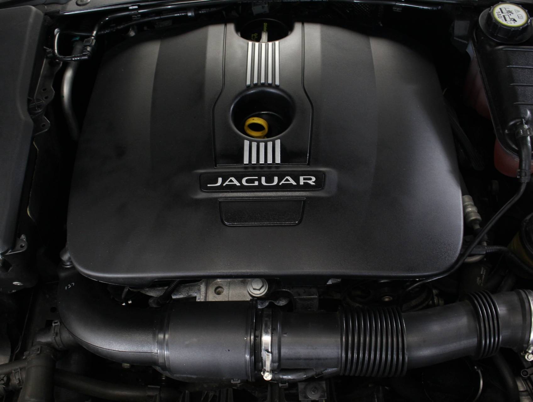 Florida Fine Cars - Used JAGUAR XF 2014 WEST PALM 