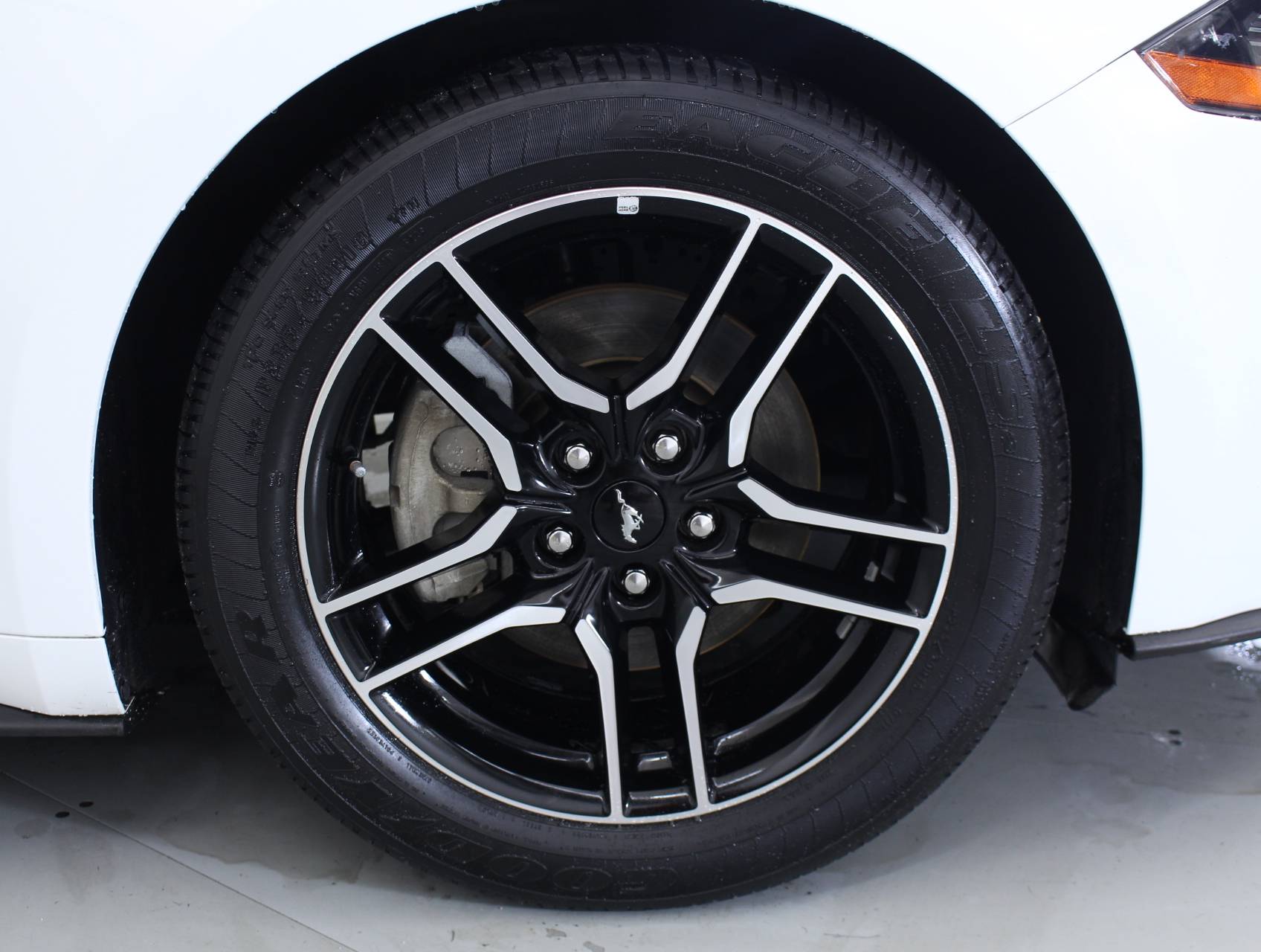 Florida Fine Cars - Used FORD MUSTANG 2018 HOLLYWOOD Ecoboost Premium