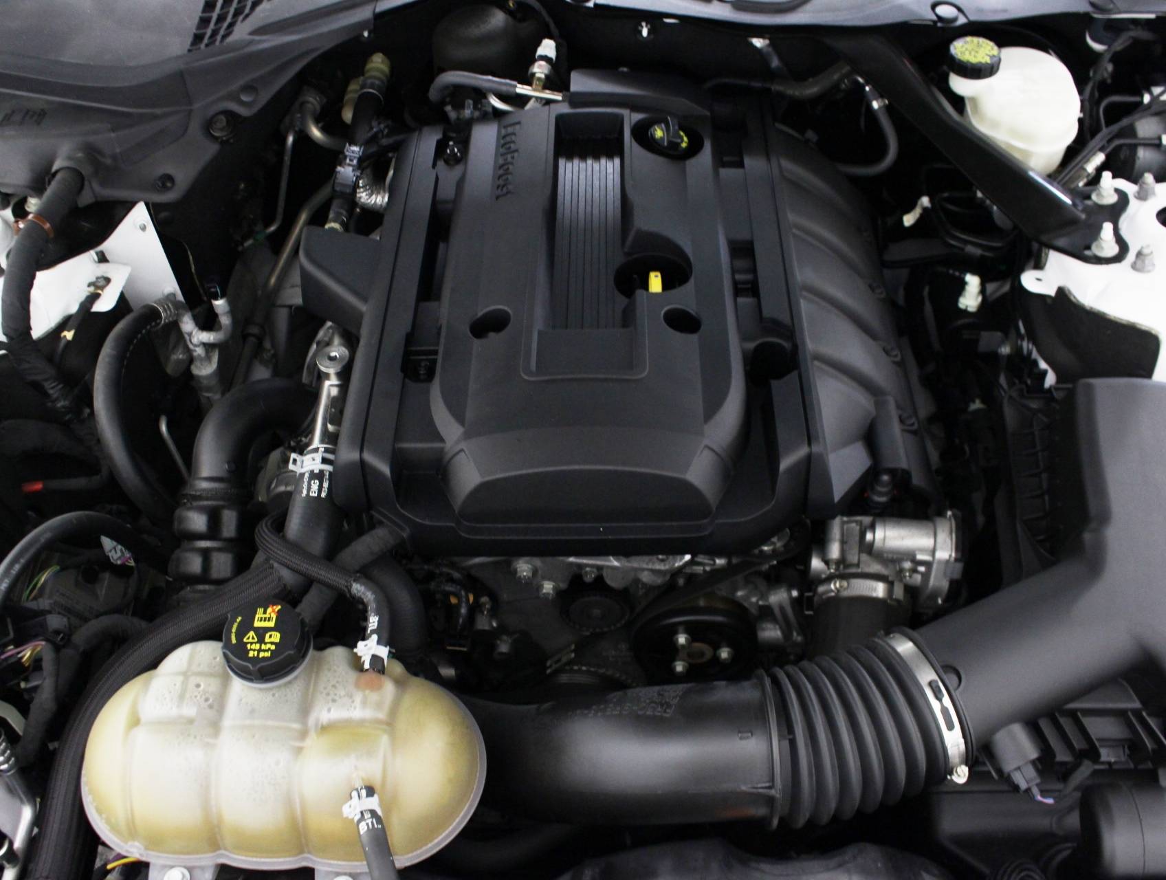 Florida Fine Cars - Used FORD MUSTANG 2016 HOLLYWOOD Ecoboost Performance