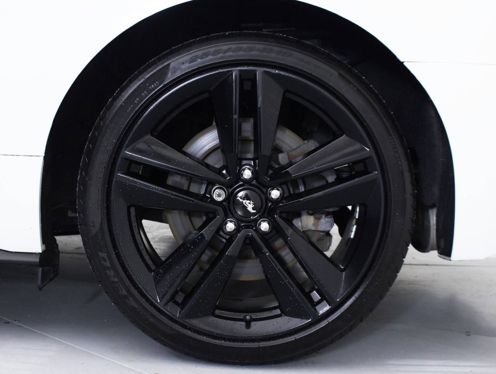 Florida Fine Cars - Used FORD MUSTANG 2016 HOLLYWOOD Ecoboost Performance