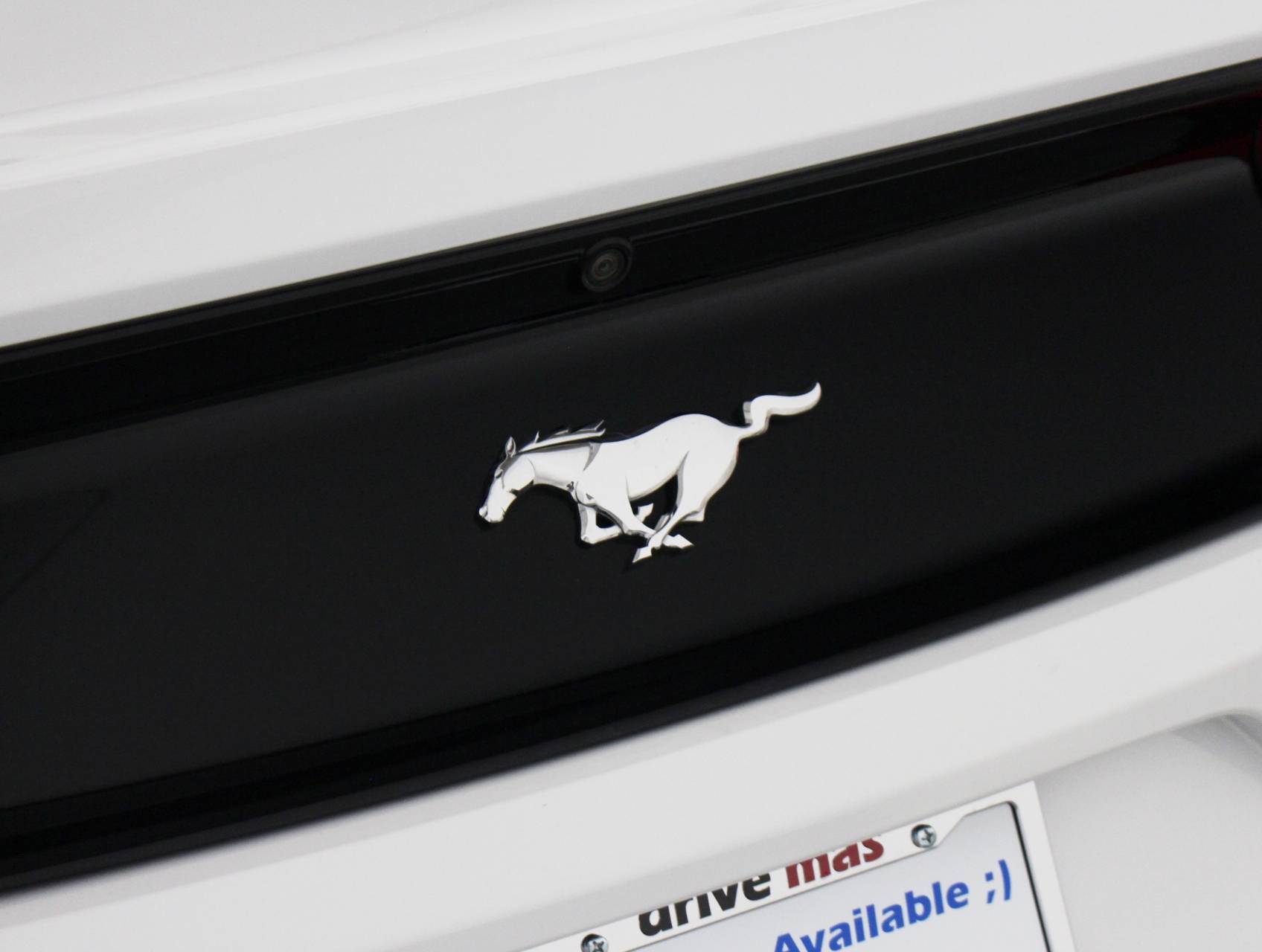 Florida Fine Cars - Used FORD MUSTANG 2016 HOLLYWOOD Ecoboost Performance