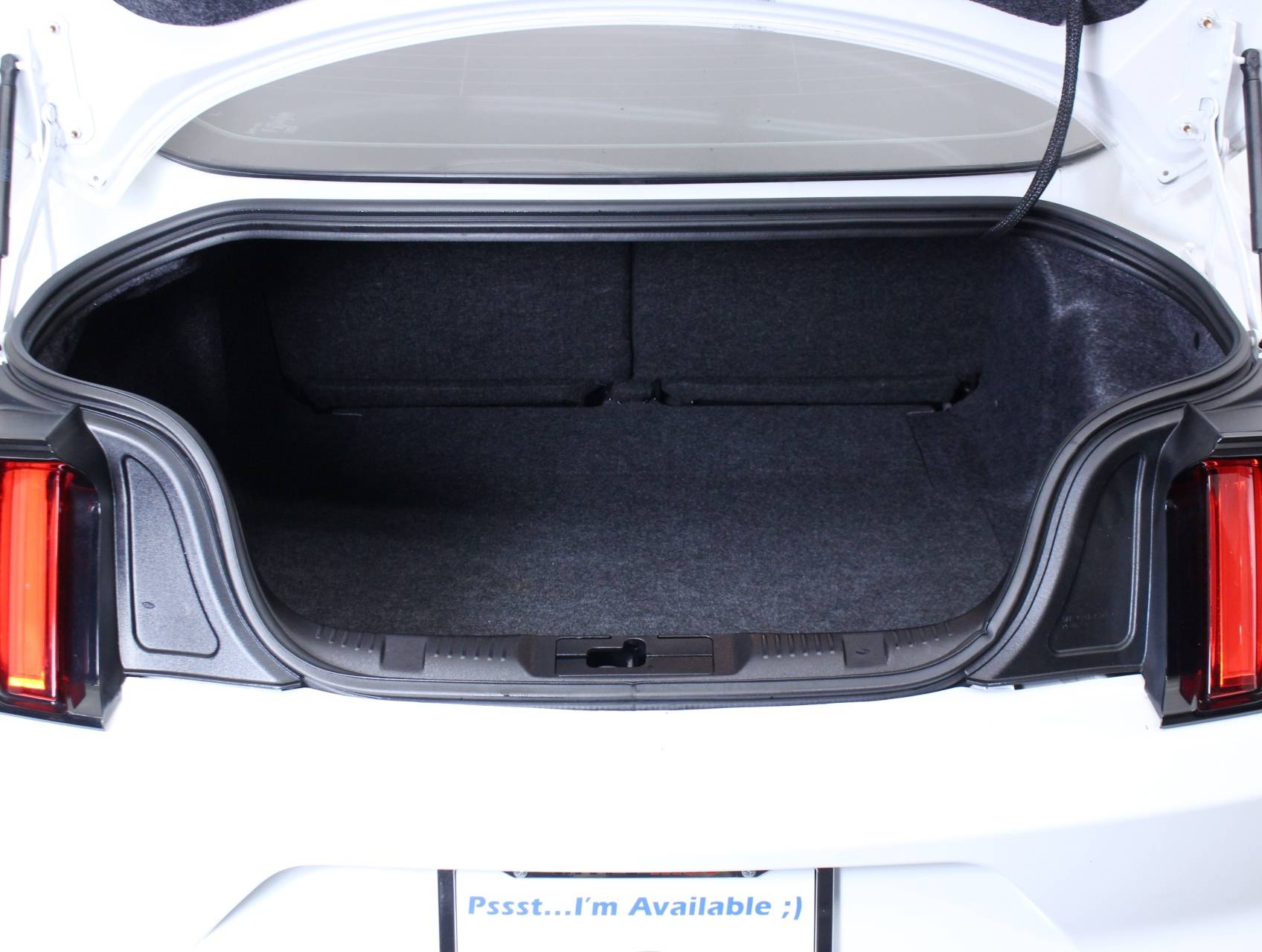 Florida Fine Cars - Used FORD MUSTANG 2016 HOLLYWOOD Ecoboost Performance