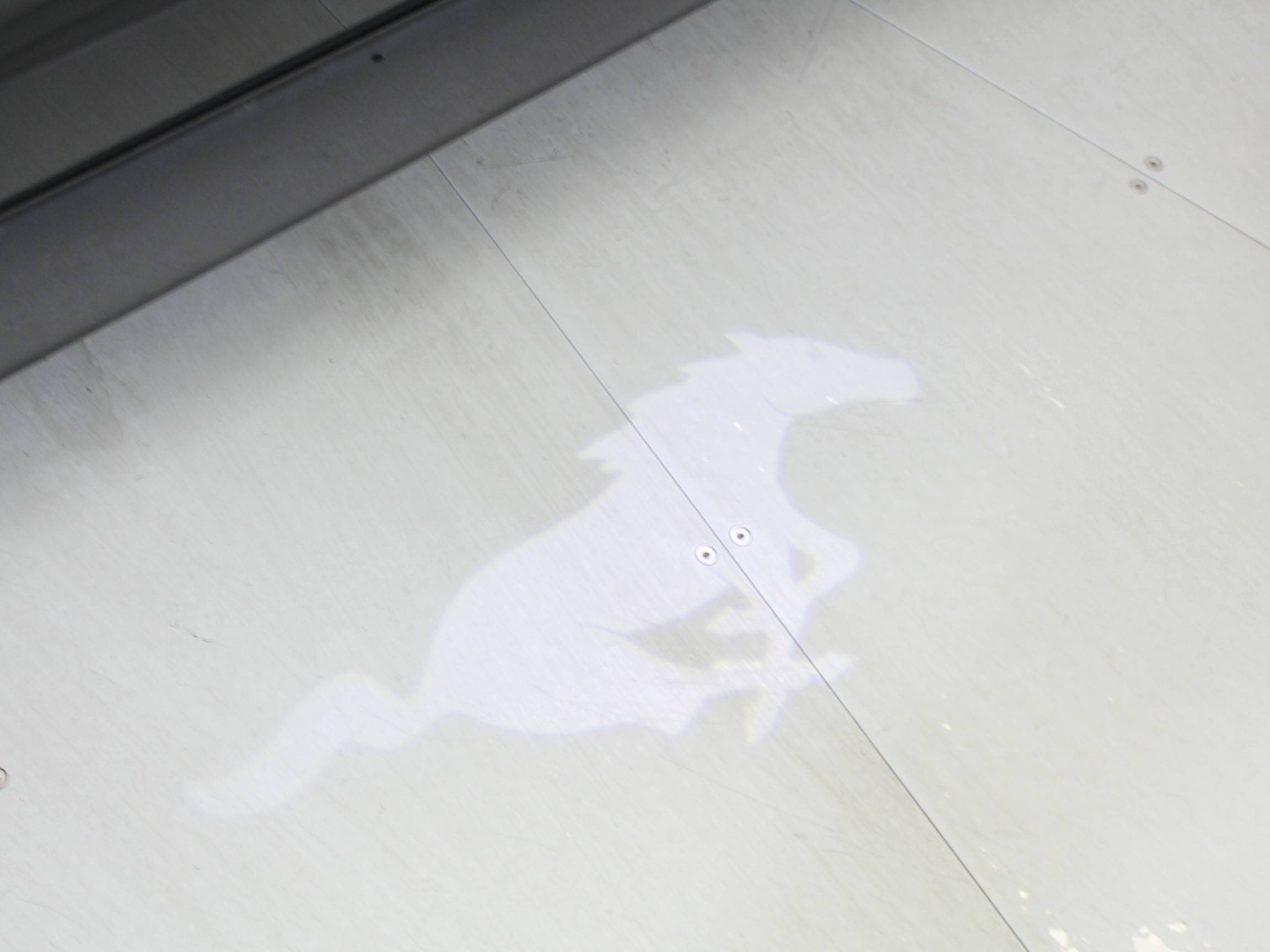 Florida Fine Cars - Used FORD MUSTANG 2018 WEST PALM ECOBOOST PREMIUM