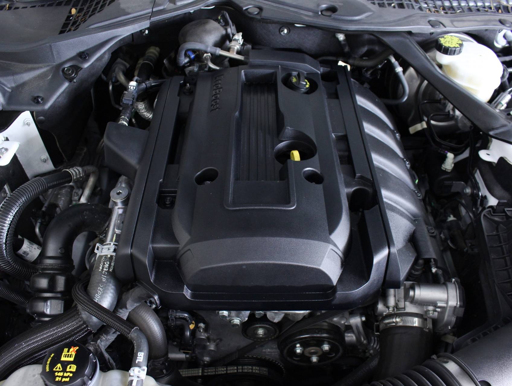 Florida Fine Cars - Used FORD MUSTANG 2018 MIAMI Ecoboost Premium