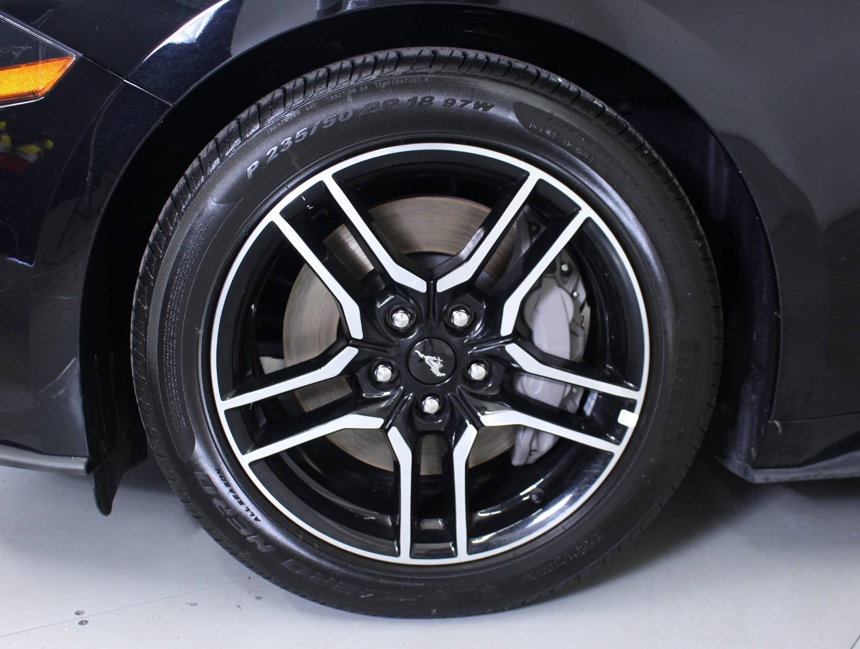 Florida Fine Cars - Used FORD MUSTANG 2019 MIAMI GT