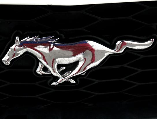 Florida Fine Cars - Used FORD MUSTANG 2007 MIAMI GT ROUSH PACKAGE